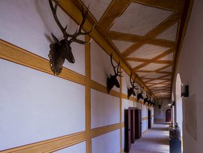 Langer Gang auf Schloss Rochlitz Langer Gang auf Schloss Rochlitz